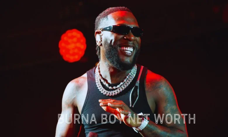 Burna Boy Net Worth